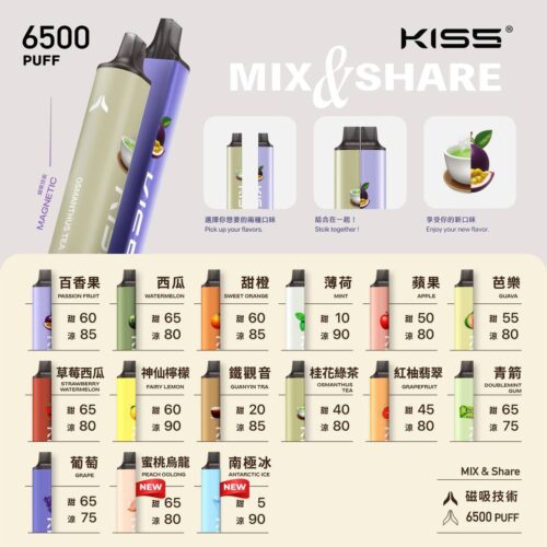 KIS5 6500口 拋棄式/一次性 口味可自行調配